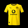 Borussia Dortmund 25/26 home
